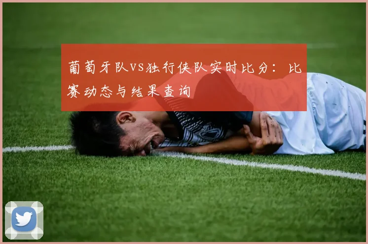 葡萄牙队vs独行侠队实时比分：比赛动态与结果查询